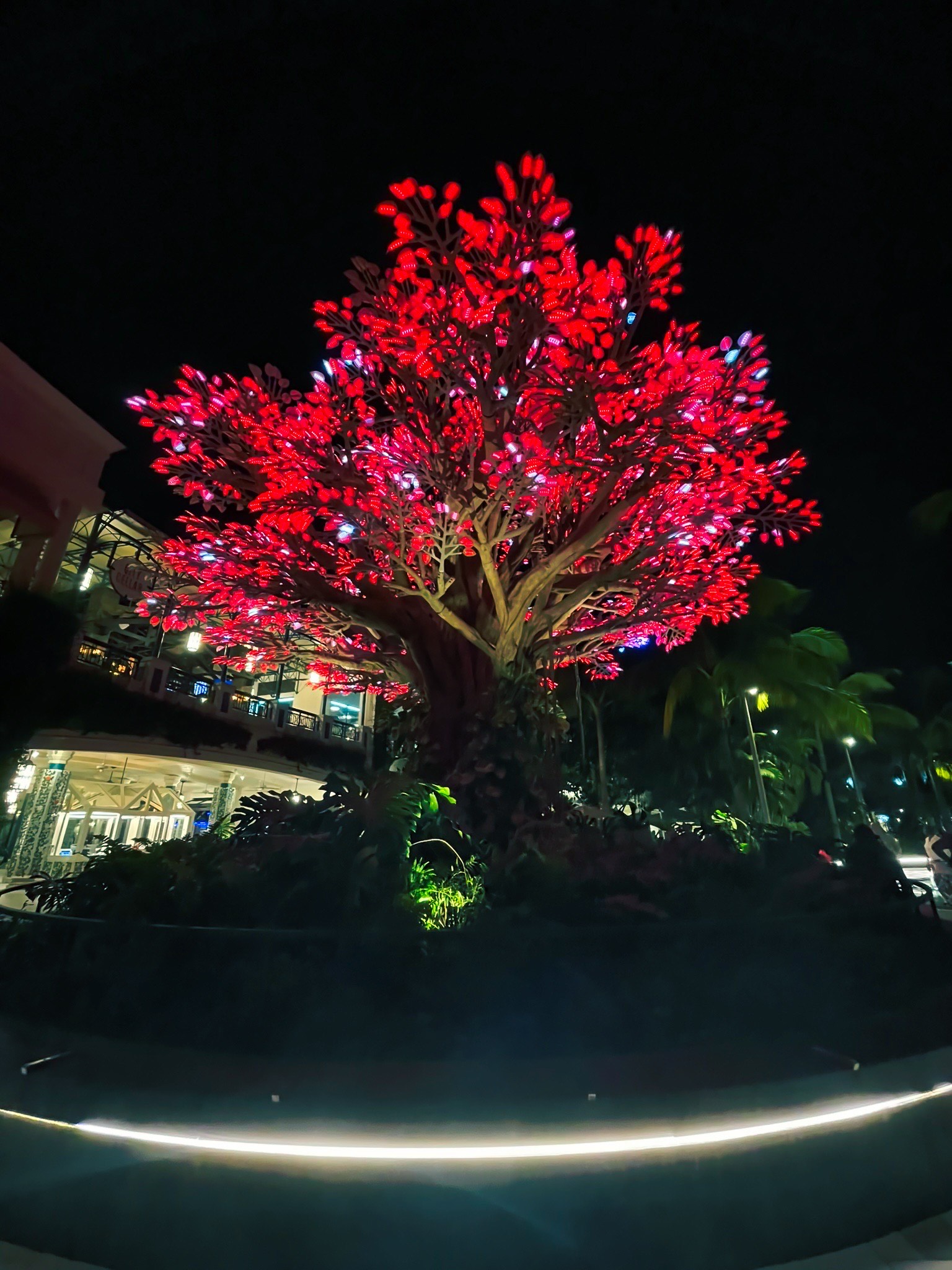 Focus Flow Live Wash Lighting